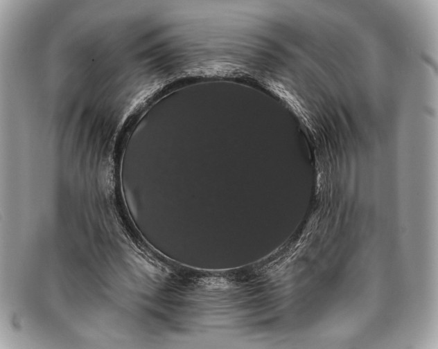 X0000098010392200804111238