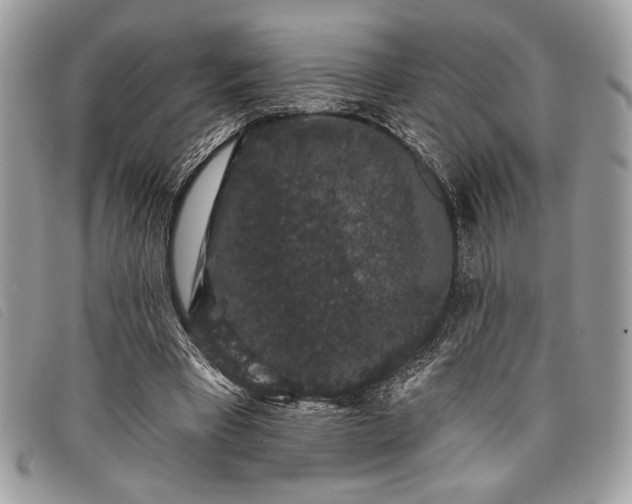 X0000098010393200804111238