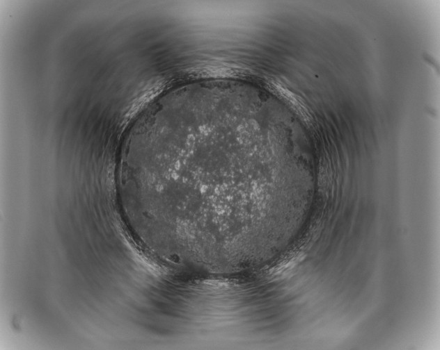 X0000098010394200804111238