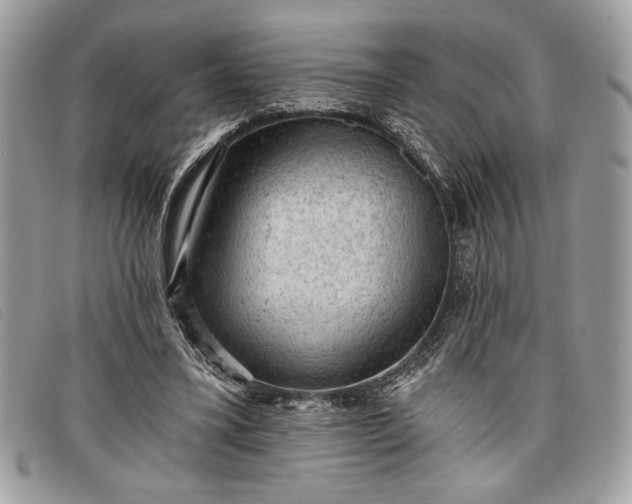 X0000098010395200804111238