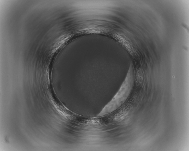 X0000098010398200804111238