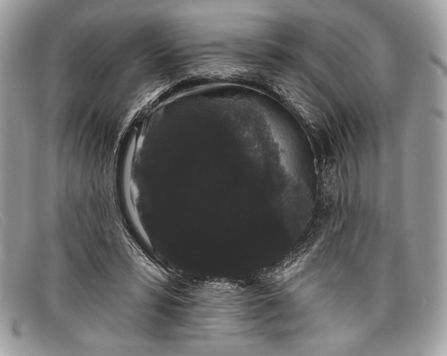 X0000098010399200804111238