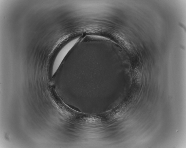 X0000098010400200804111238