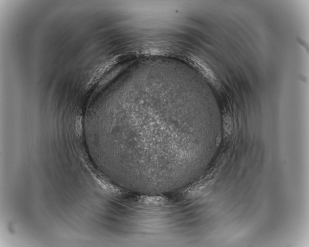 X0000098010401200804111238