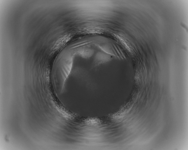 X0000098010402200804111238