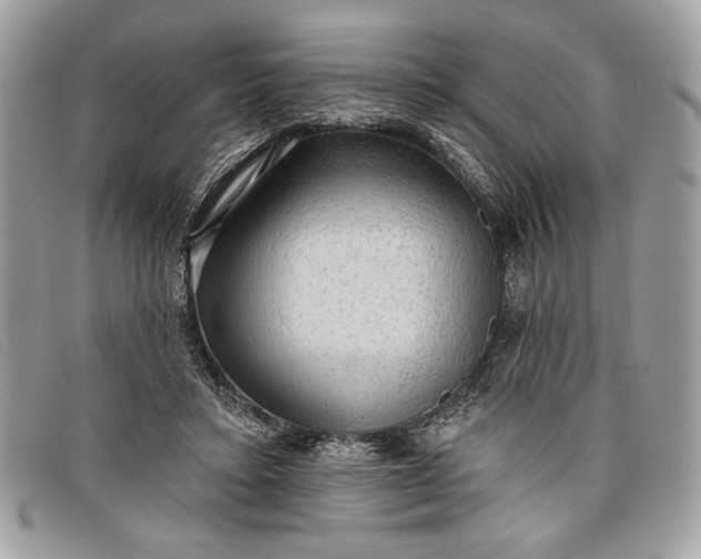 X0000098010403200804111238