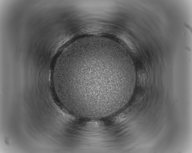 X0000098010404200804111238