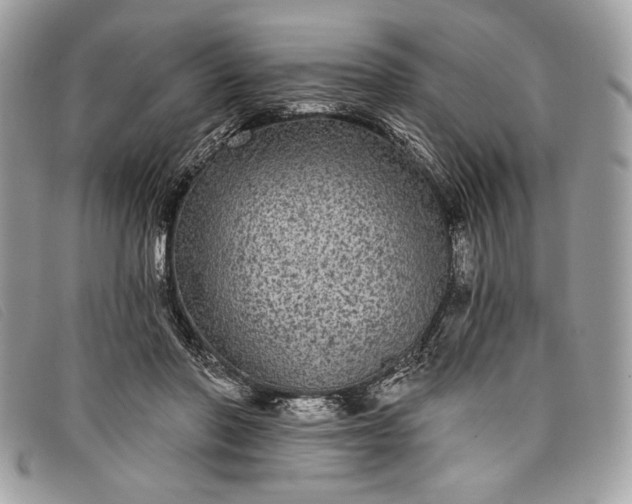 X0000098010406200804111238