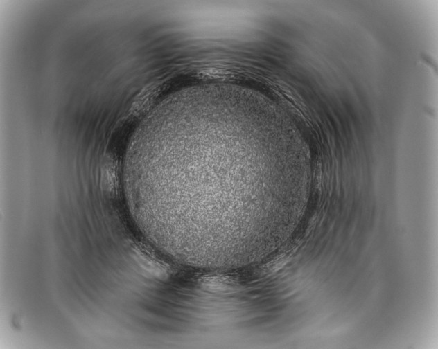 X0000098010408200804111238