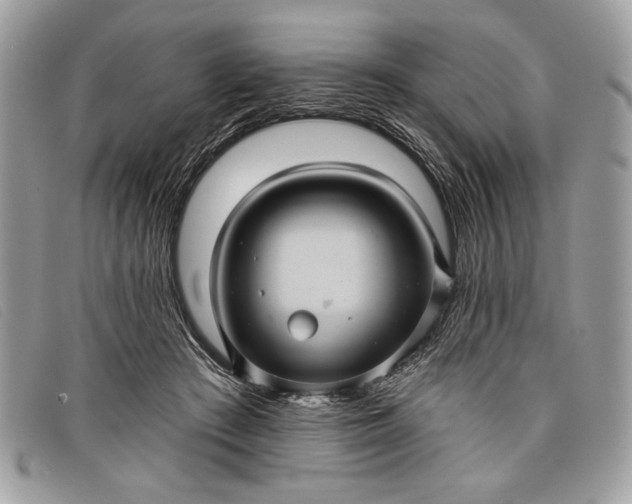 X0000098010409200804111238