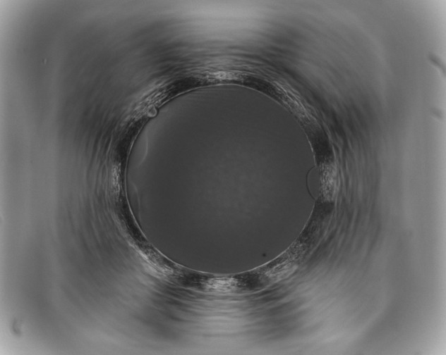 X0000098010410200804111238