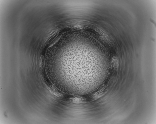 X0000098010412200804111238