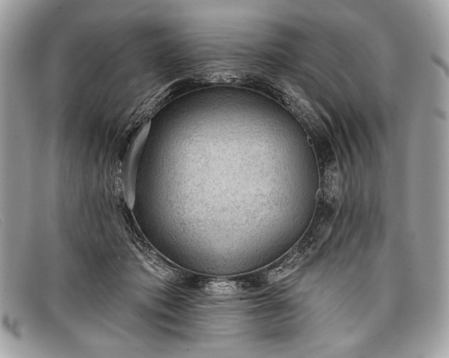 X0000098010413200804111238