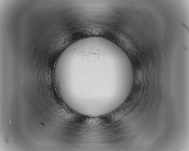 X0000098010414200804111238