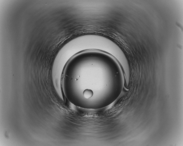 X0000098010415200804111237