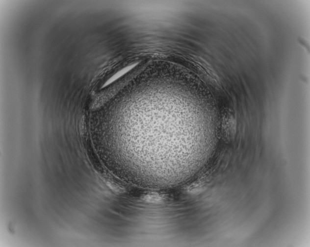 X0000098010416200804111237