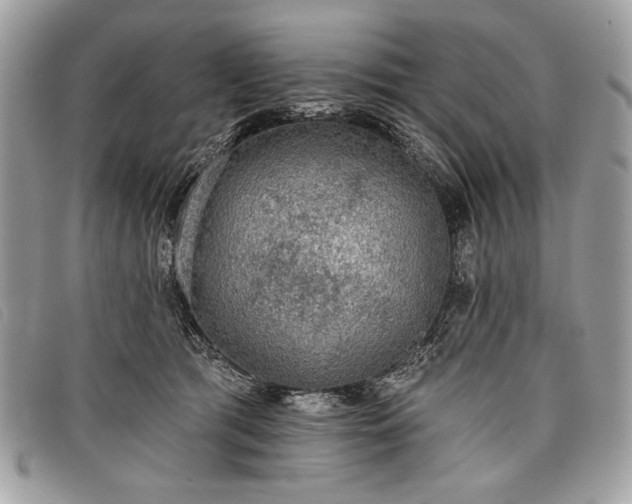 X0000098010417200804111237