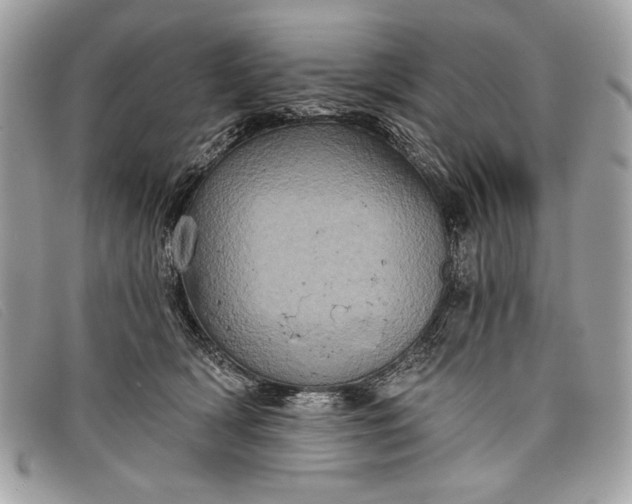 X0000098010418200804111237