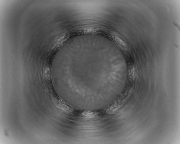 X0000098010419200804111237