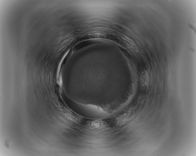 X0000098010420200804111237