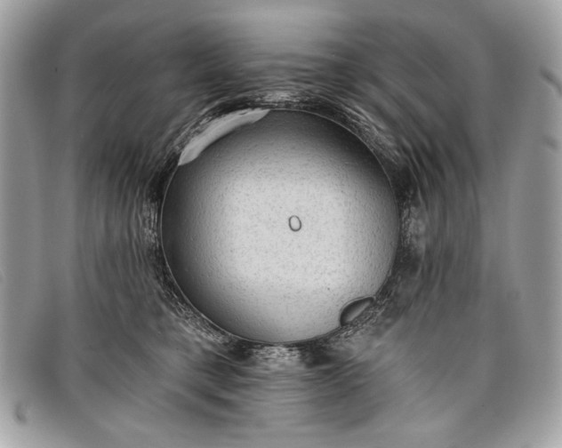 X0000098010421200804111237