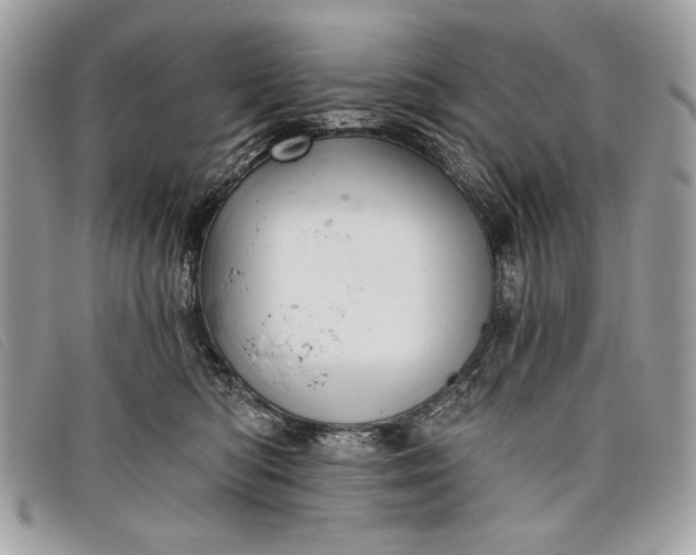 X0000098010422200804111237