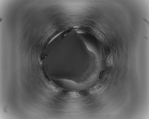 X0000098010424200804111237