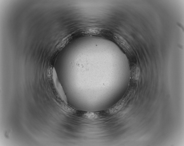 X0000098010425200804111237