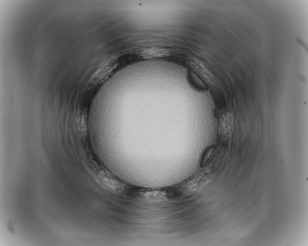 X0000098010426200804111237