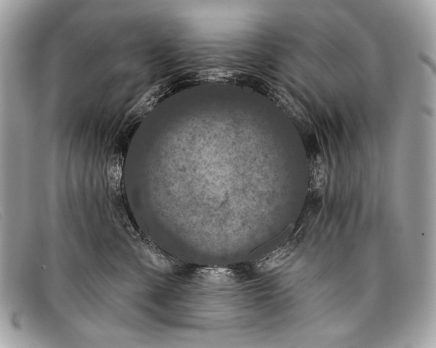 X0000098010427200804111237