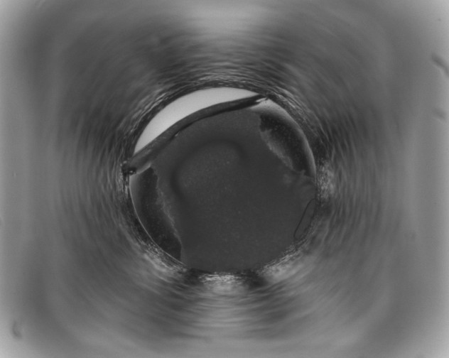 X0000098010428200804111237