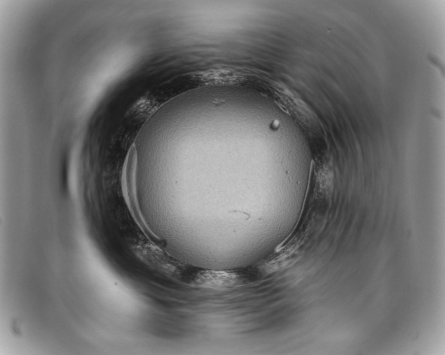 X0000098010429200804111237