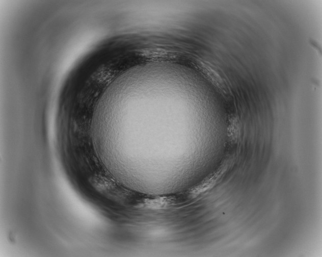 X0000098010430200804111237