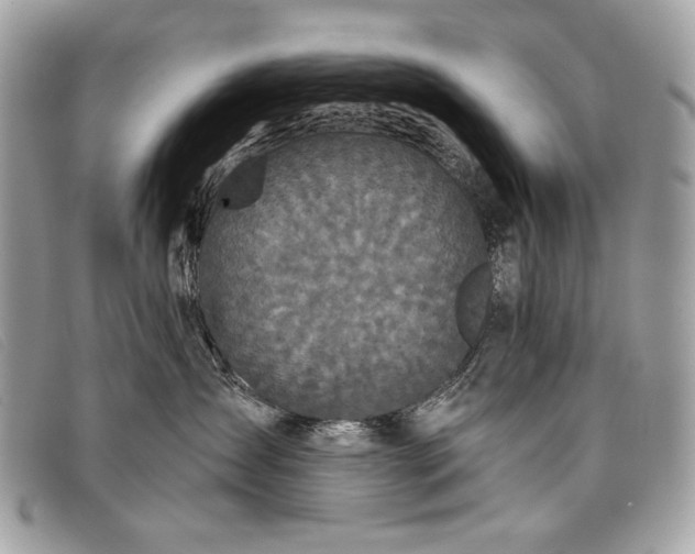 X0000098010431200804111237