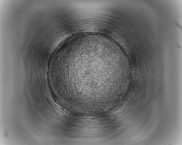 X0000098010434200804111236