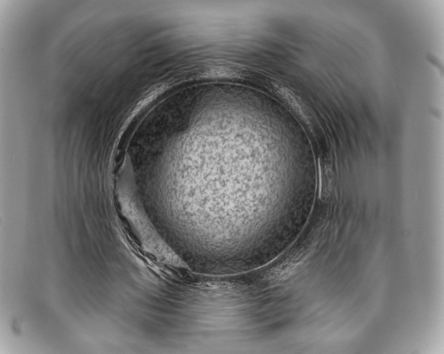 X0000098010435200804111236