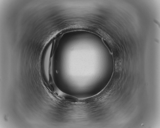 X0000098010436200804111236