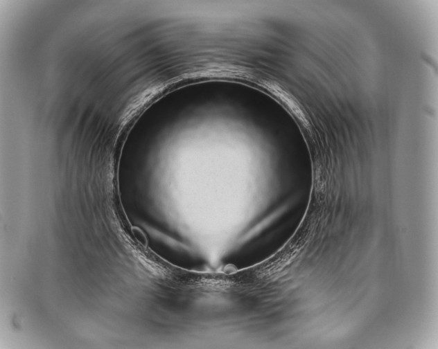 X0000098010437200804111236