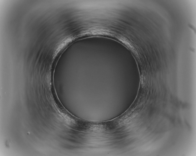 X0000098010438200804111236