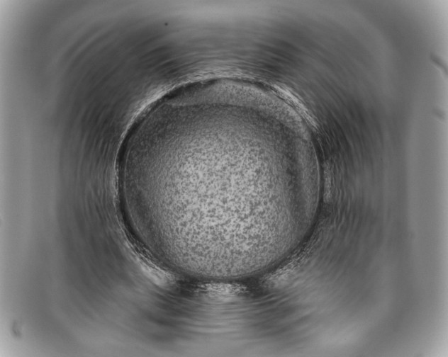 X0000098010439200804111236