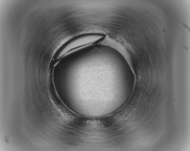 X0000098010440200804111237