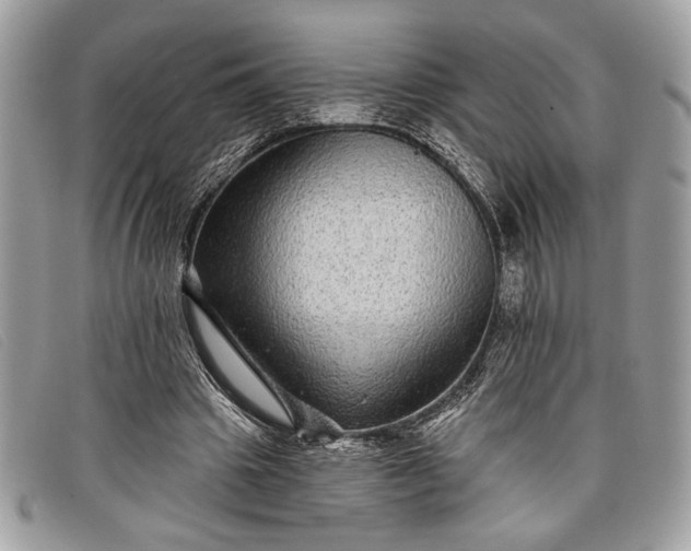 X0000098010441200804111237