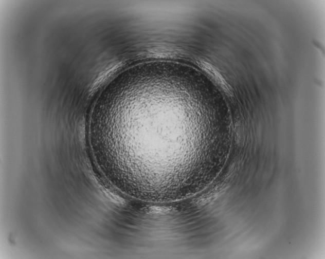 X0000098010442200804111237