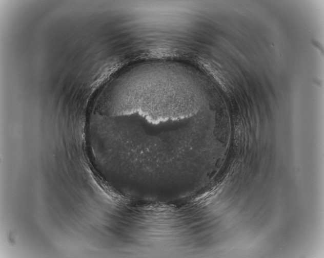 X0000098010443200804111237