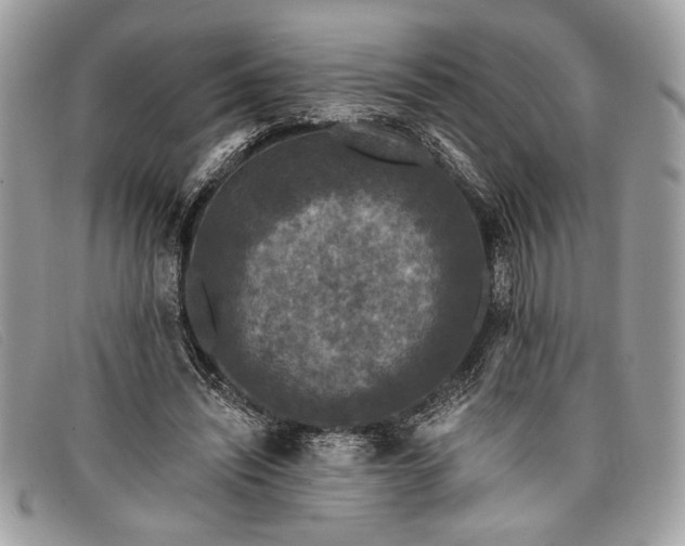 X0000098010444200804111237