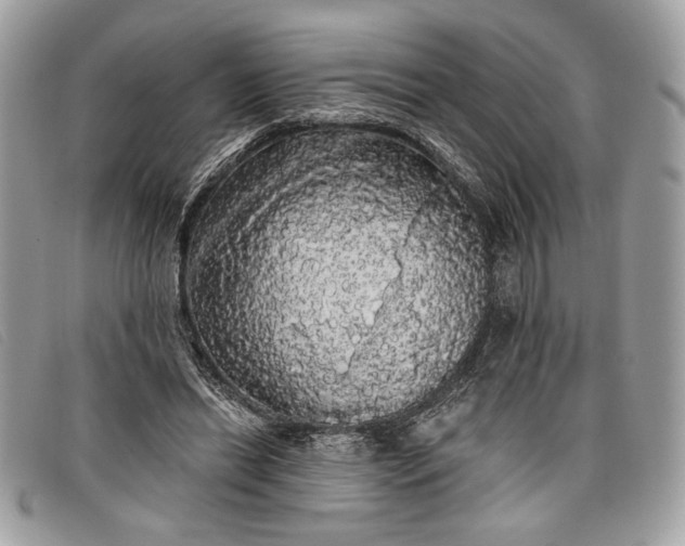 X0000098010446200804111237