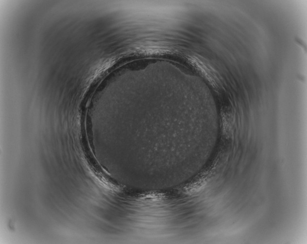 X0000098010447200804111237