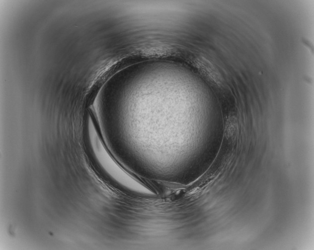 X0000098010448200804111237