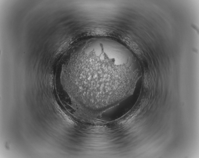 X0000098010449200804111237