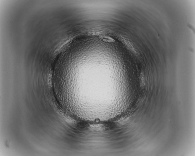 X0000098010450200804111237